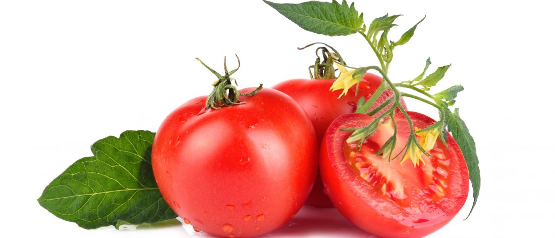 Tomate fraîche de qualité